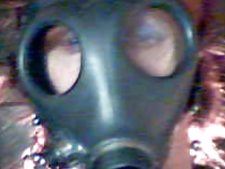 Máscara de gas
 #9529542