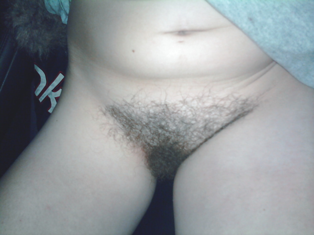 A Hairy Bush #2682452