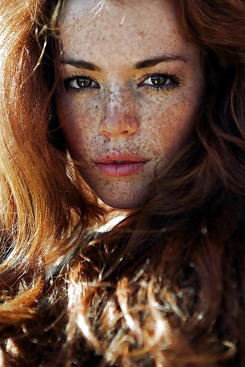 Redheads  #18188548