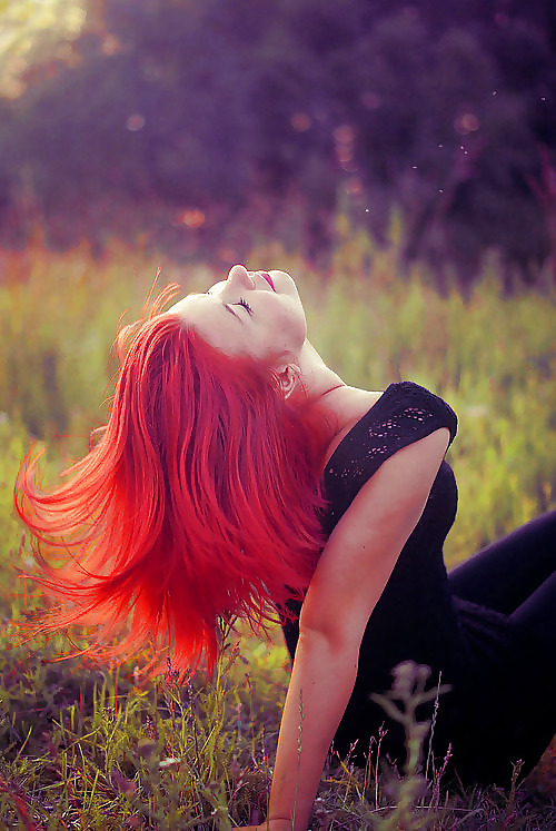 Redheads  #18188565