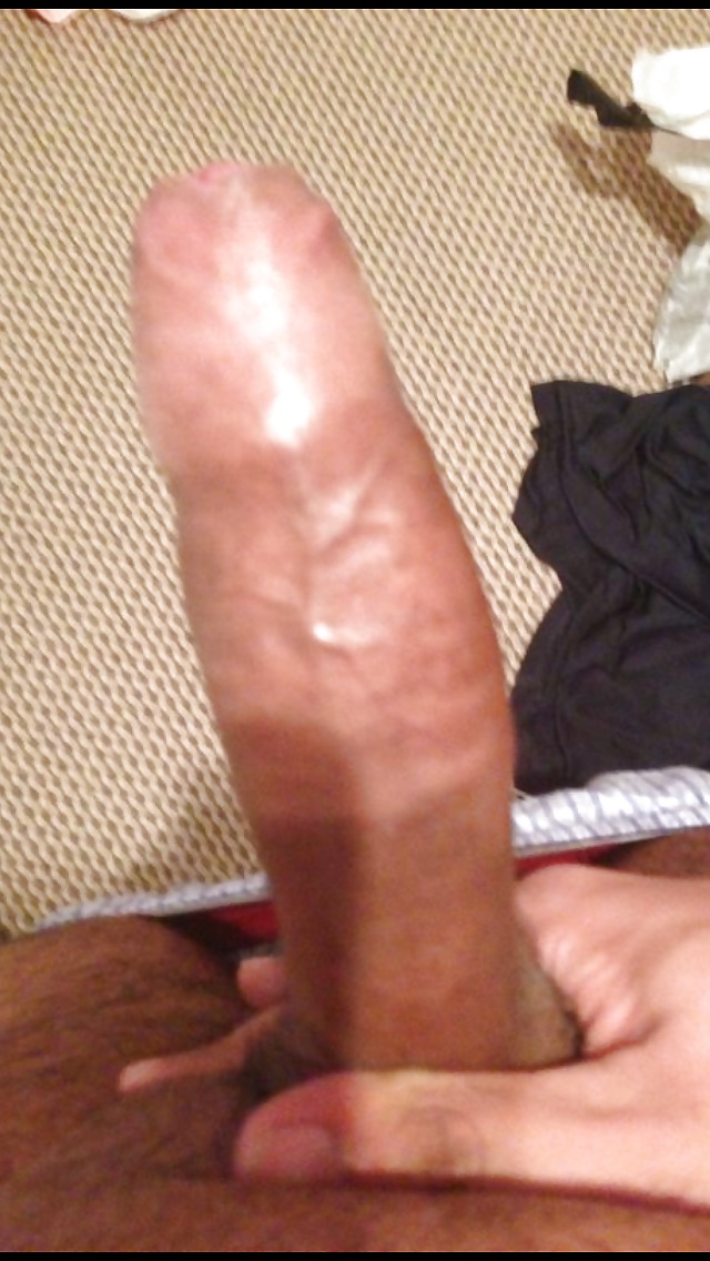 My cock...comment please #17109374