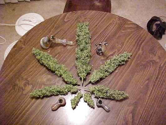 Toke It Up ! #2529429