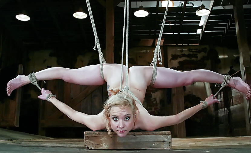 こんなにいい子たちが...
 #2624971