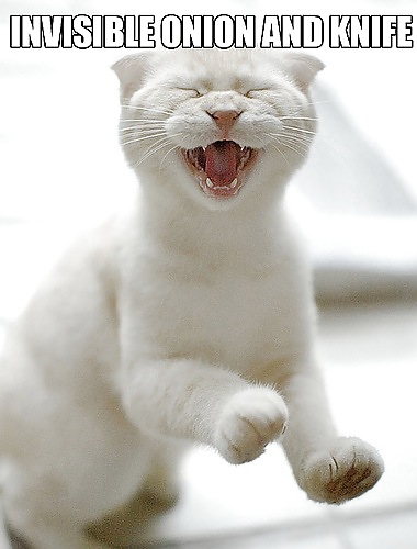 Things, Found, Internet, Interesting, Bleh, Five #4218305