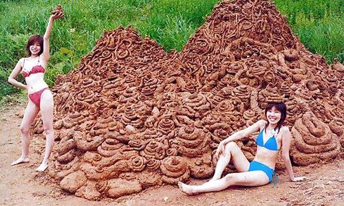 Things, Found, Internet, Interesting, Bleh, Five #4218323