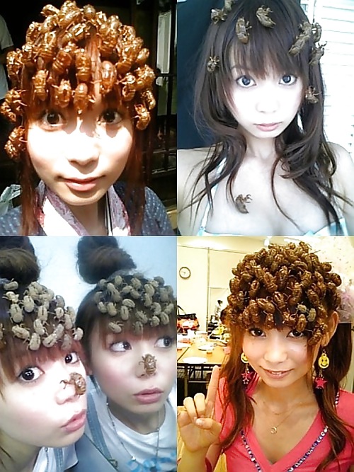 Things, Found, Internet, Interesting, Bleh, Five #4218333