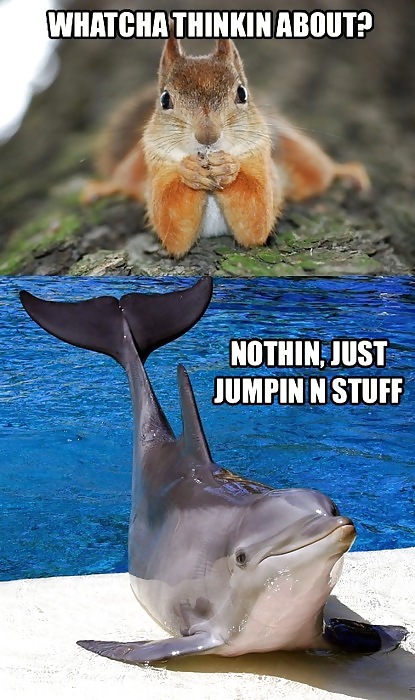 Things, Found, Internet, Interesting, Bleh, Five #4218365