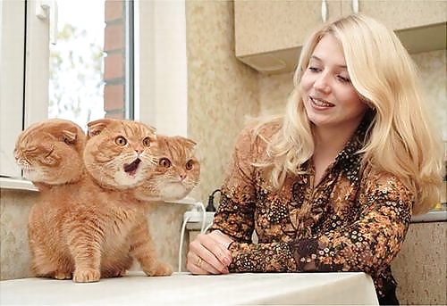 Things, Found, Internet, Interesting, Bleh, Five #4218427