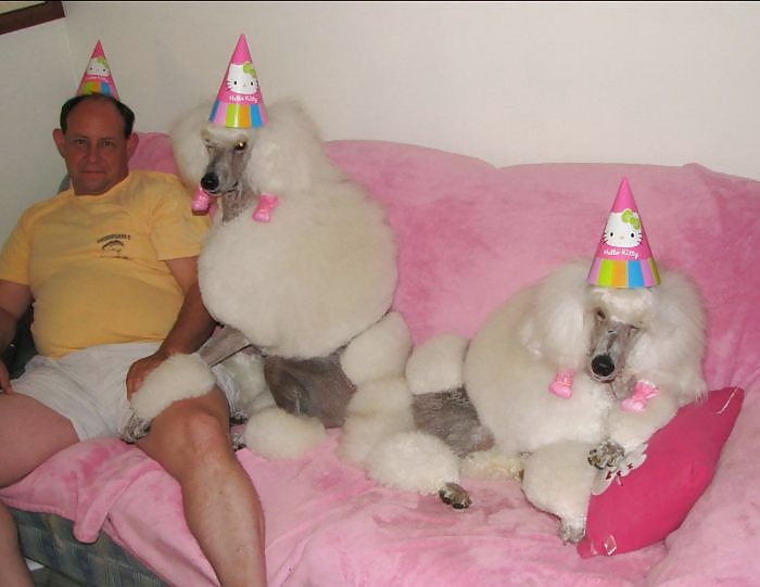 Things, Found, Internet, Interesting, Bleh, Five #4218534