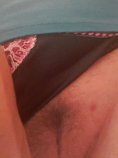 エキシブ・キャヴィン・エッセー
 #16795374