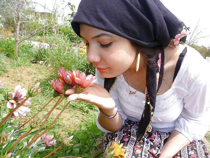 Turbanli arab turkish hijab muslim #17316086