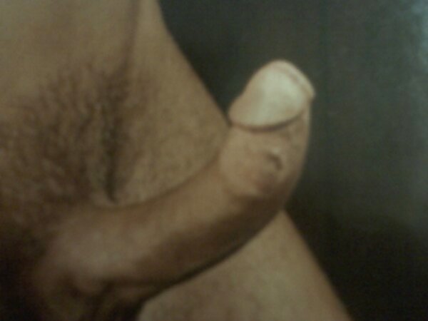 Cockasaurous erectous #4098279