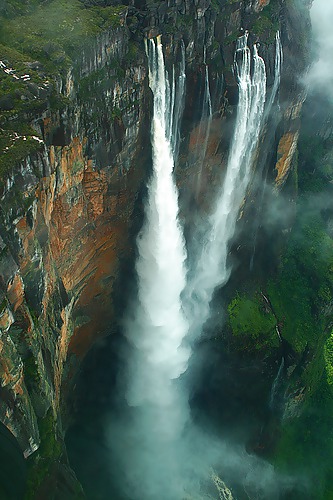 Canciones de la naturaleza 
 #12190697