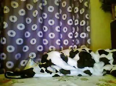 Doctor CHAYMA from marroco (2) #3884425