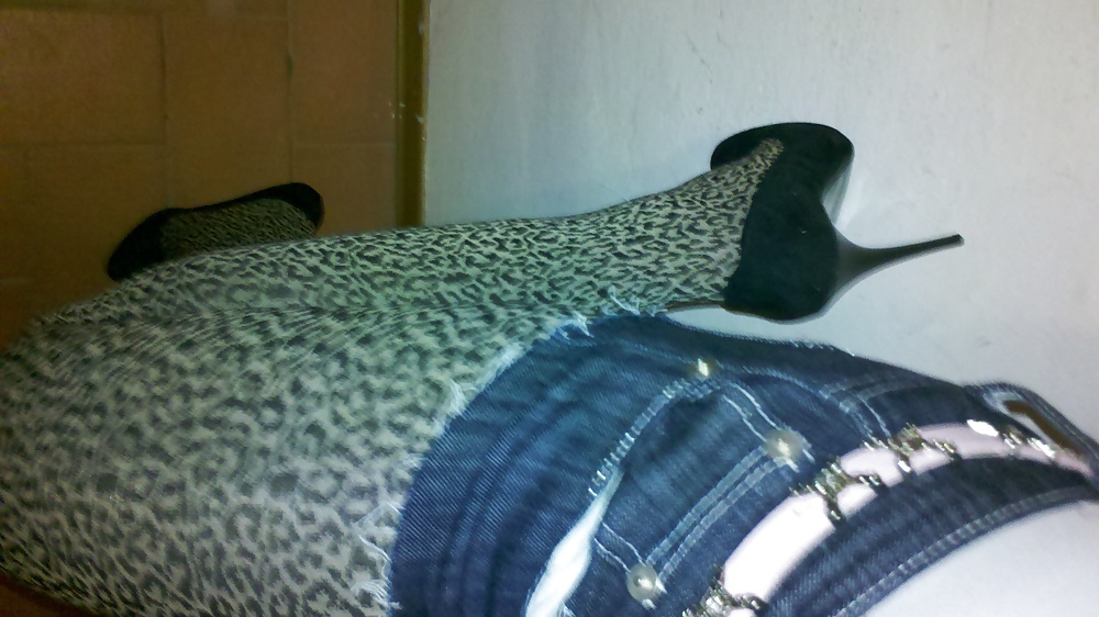 Leopard and shorts #16692766