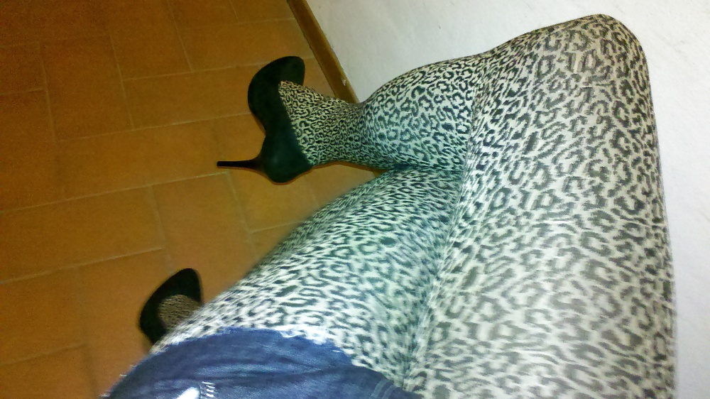 Leopard and shorts #16692773