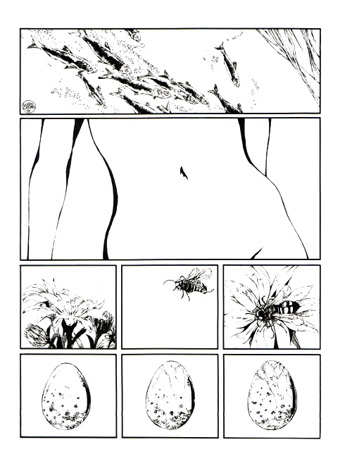 Cartoni erotici 4 - guido crepax mix
 #16247425