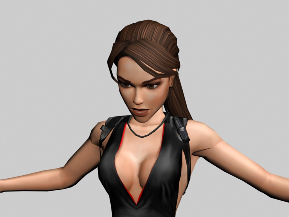 Lara Croft #10296689