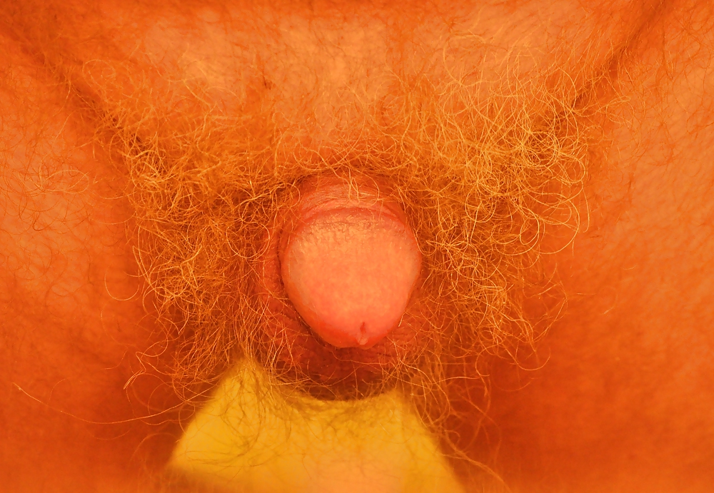 Métetela
 #18121831