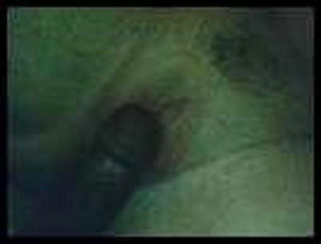 Me and chums #9543732