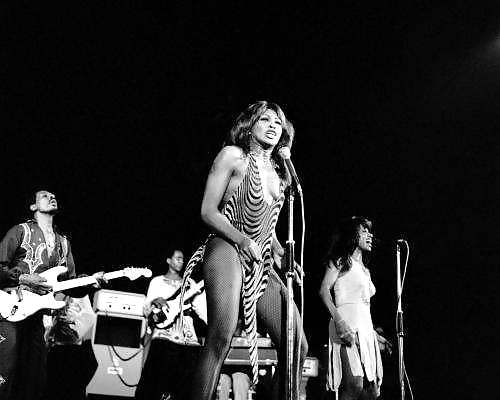 Tina Turner III #14345716