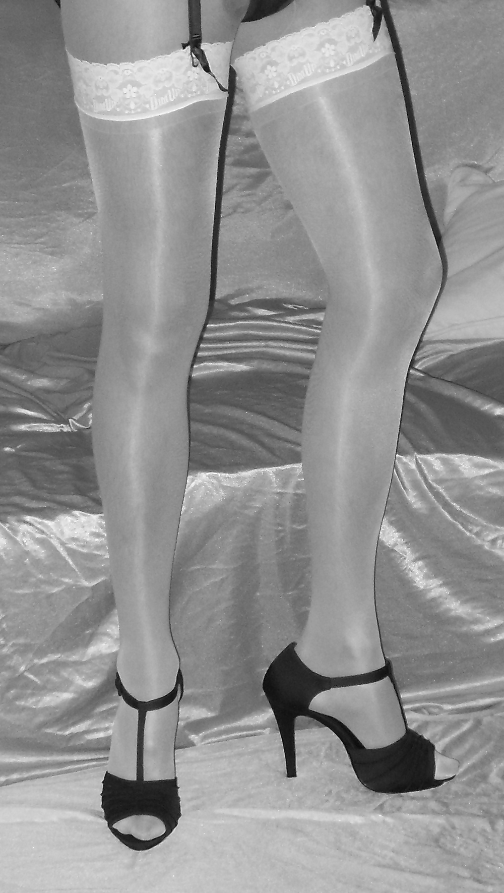 Cd alexia (dusky & white) #9522882