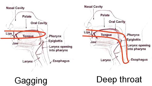Conceptos probados en el tiempo
 #13222078