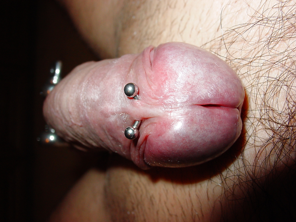 My pierced Cock by Bedrik #4749217