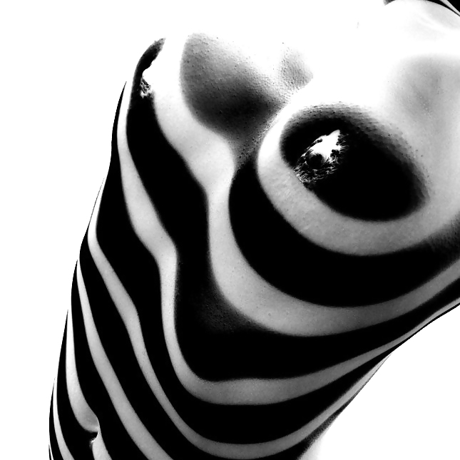 Yummy samsonight's zebras (AMYKISS-COLLECTION) #8151948