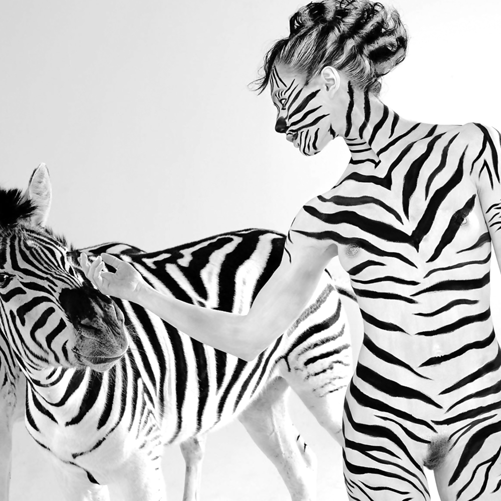 Yummy SamSoNight Zebras (amykiss-Sammlung) #8152100