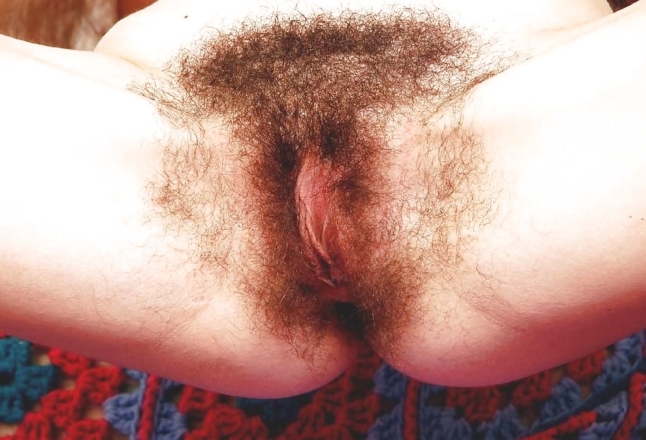 The Hairy Pussy Files #866673
