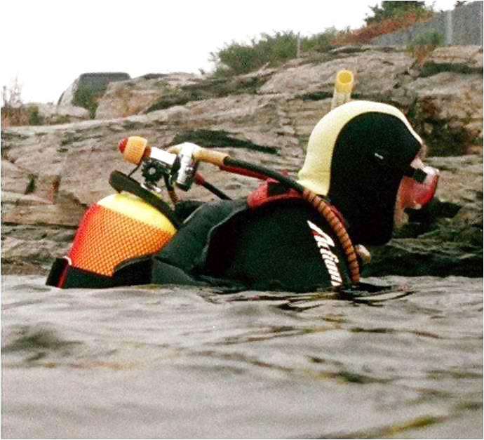 Verspieltes #17426545