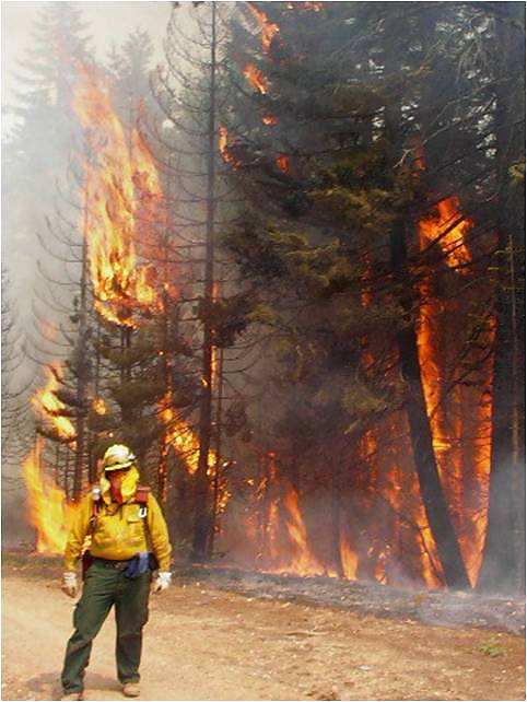 Verspieltes #17426549