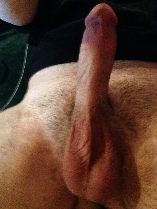 Perchas bajas
 #21976326