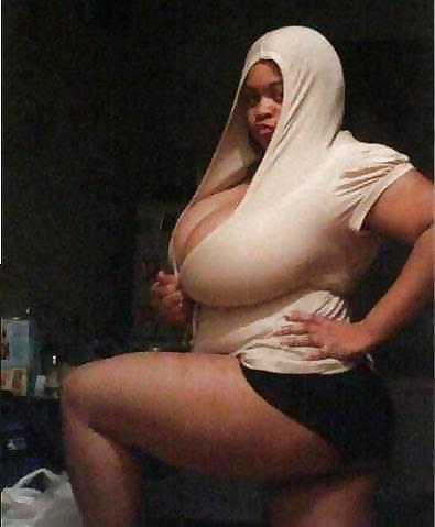 Ass Vol.1 #3731884