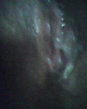 Vane zorrita ganosa
 #17840484