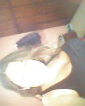 Vane zorrita ganosa
 #17840508