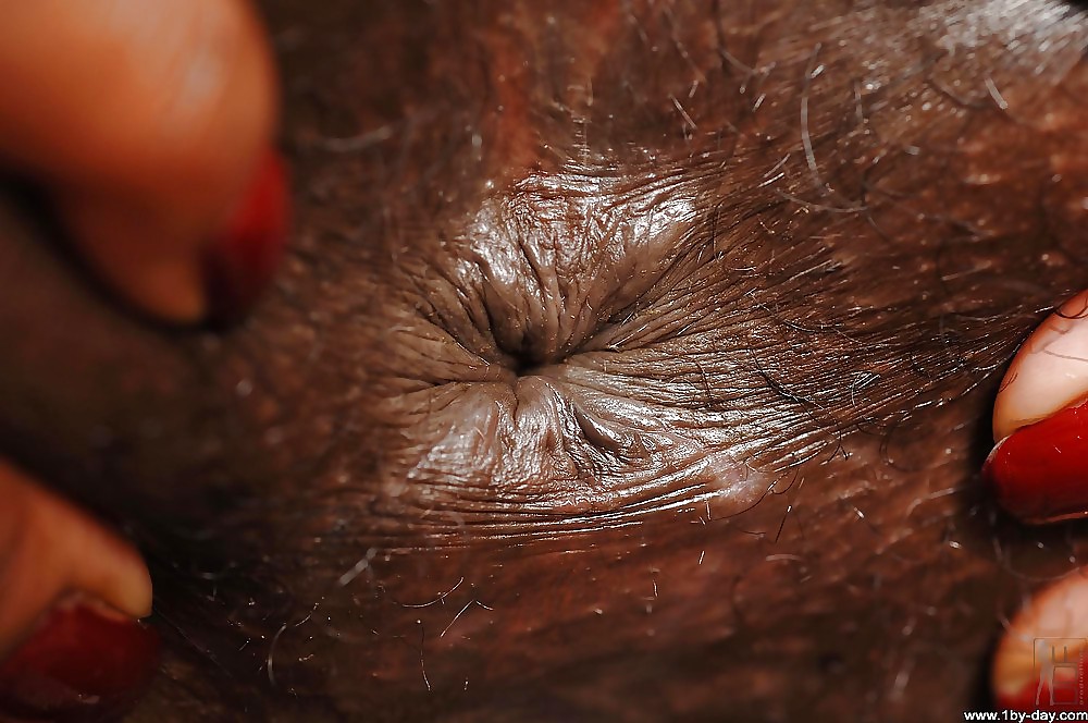 Nice Holes #4119552