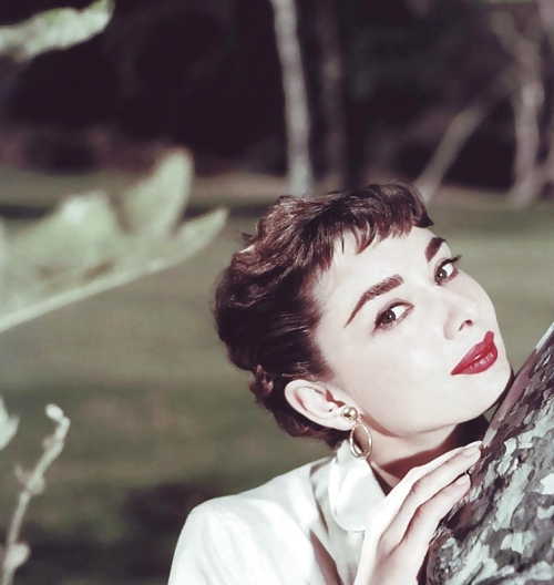 Me encanta masturbarme con audrey hepburn 
 #6368009