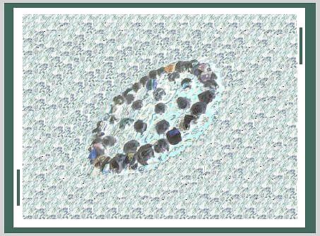 Global Anti sex- exiting luxurious face energy 4 models