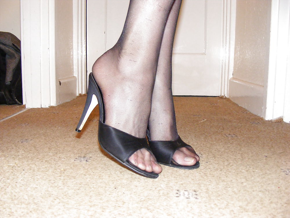 Cock and heels #14954239