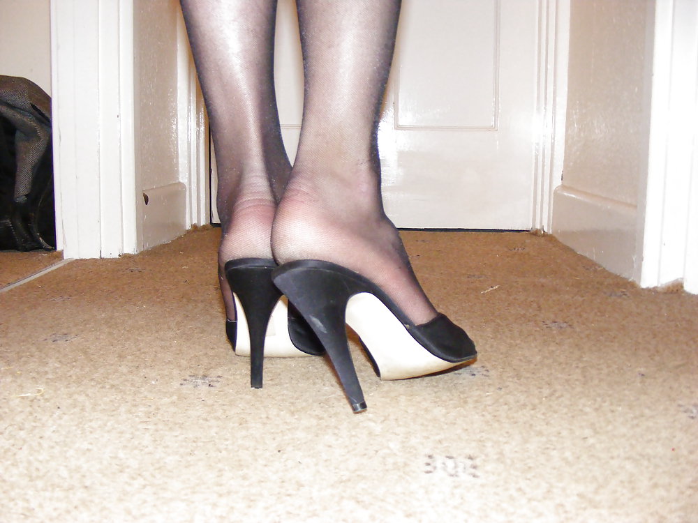 Cock and heels #14954252