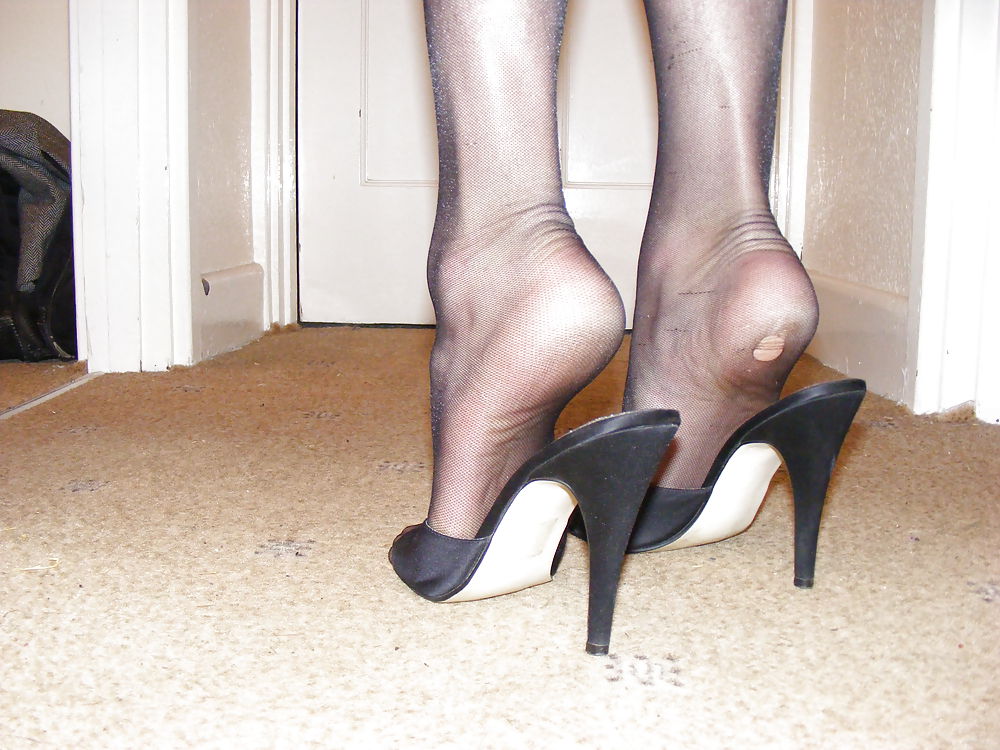 Cock and heels #14954259