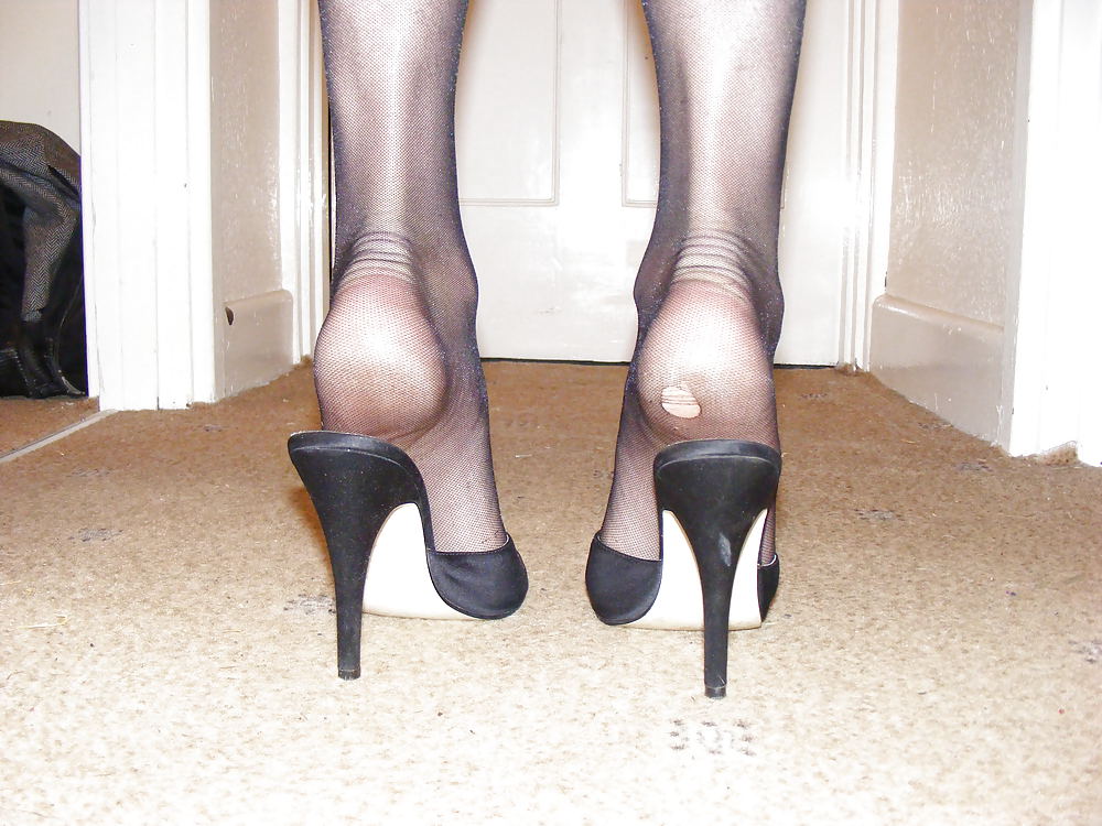 Cock and heels #14954266