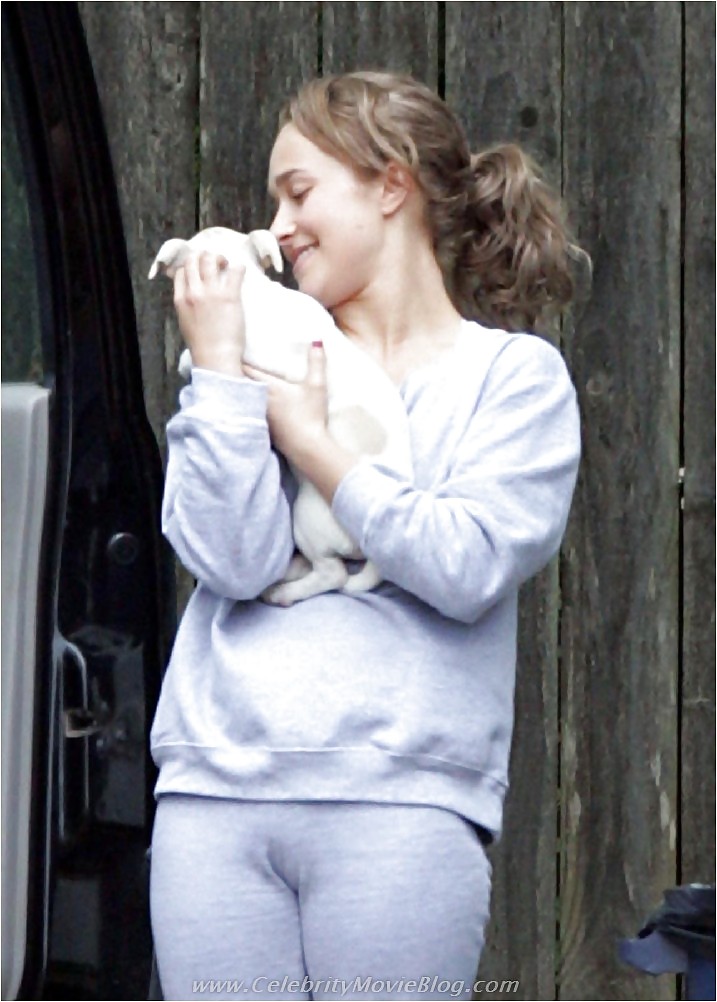 Hayden Panettiere camel toe and sexy pics #3566302