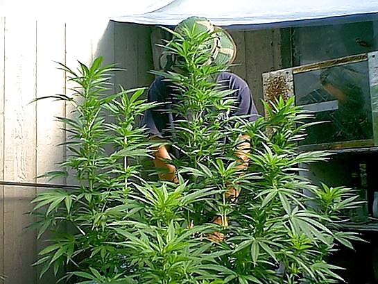 Viejo trabajo
 #13417690