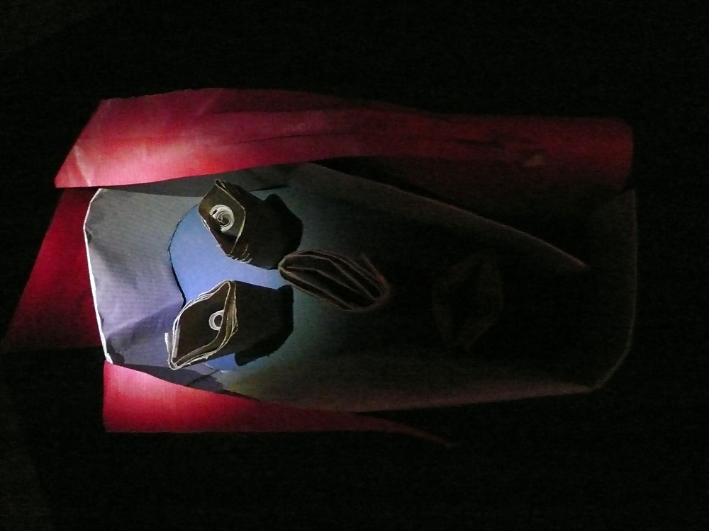 SHYNY FRIENDS #3374978