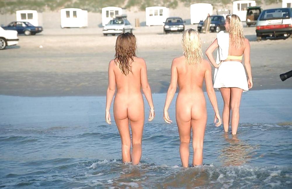 Nudist Beach Fun #3547451