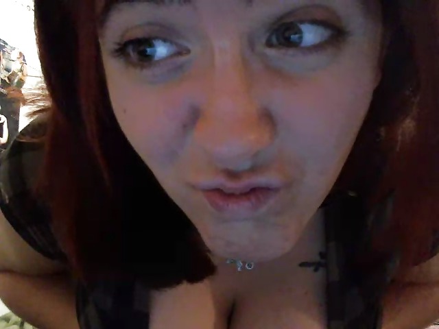 Kitten - Webchat 8 - Hanging out #15020300