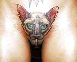 Kitty Tattoo #9700936